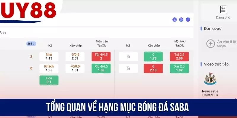 Tổng quan về hạng mục bóng đá SABA